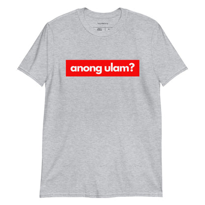 Filipino Shirt Anong Ulam? Pinoy Food Funny Merch in color variant Gray